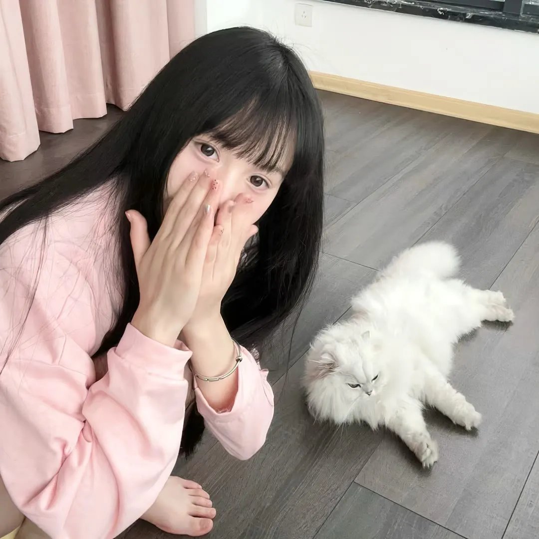 白鸟：奇迹